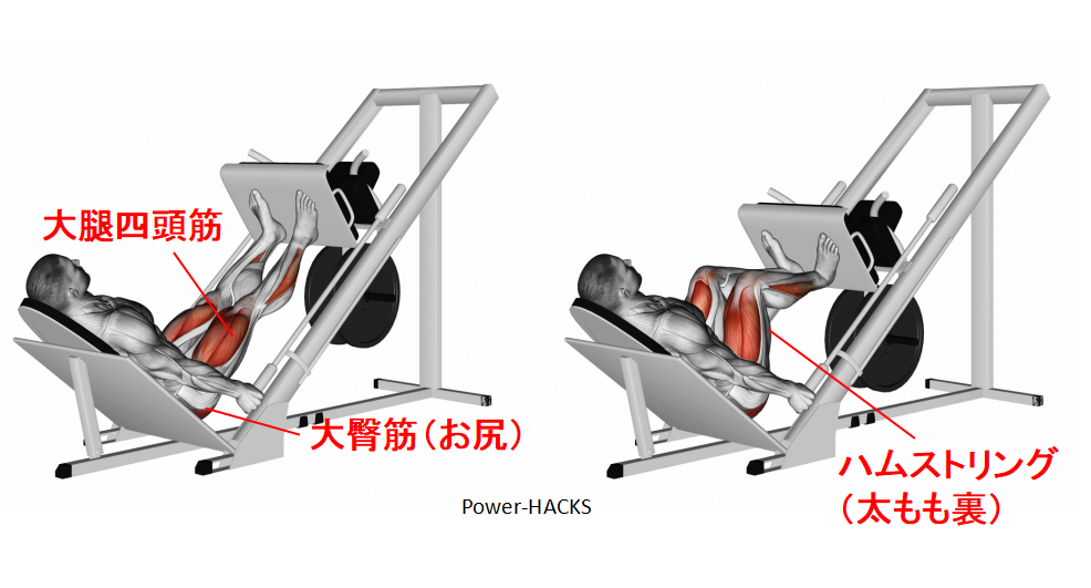 レッグプレスの正しいやり方 効果的な足の位置や重さは Power Hacks 筋トレ初心者が体を大きくする筋トレメディア