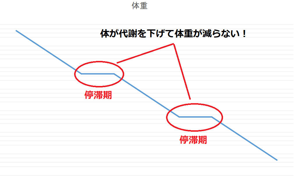 翌日の体重公開 チートデイのやり方 筋トレはした方が良い Power Hacks 筋トレ初心者が体を大きくする筋トレメディア